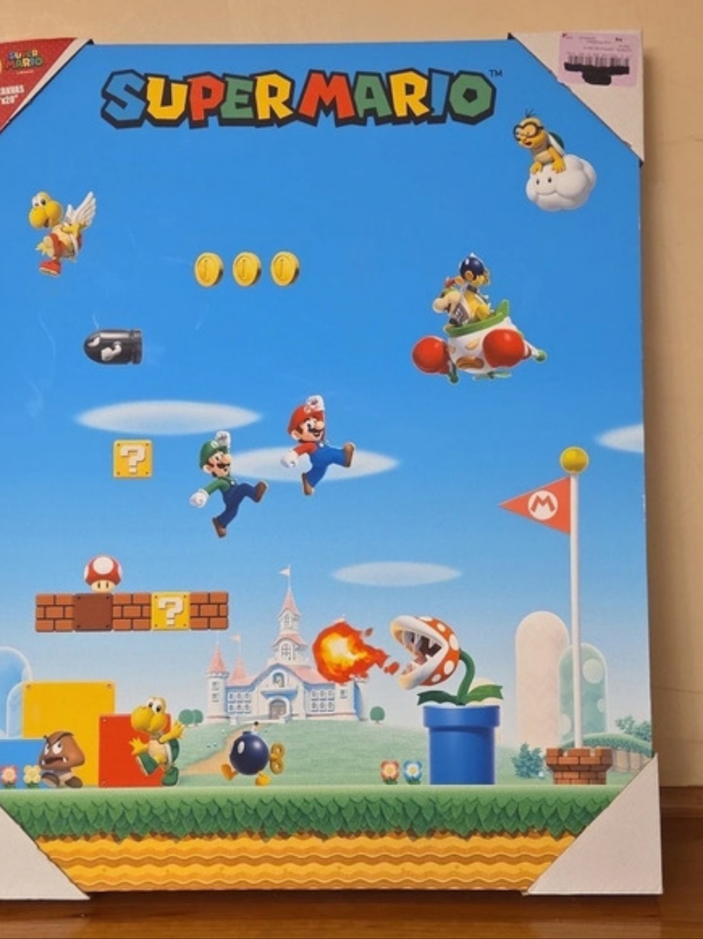 Nintendo Super Mario 16 x 20 Canvas 16 x 20
